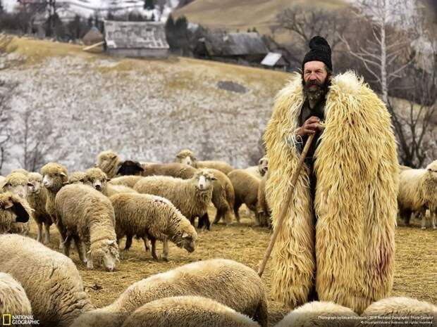 Пастух из Трансильвании, Эдуард Гутеску national geographic, конкурс, красота, природа, удивительно, фото, фотография, фотоподборка