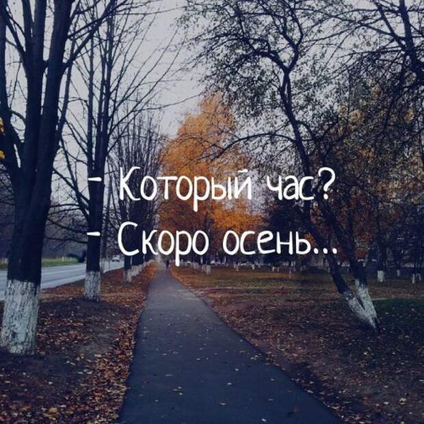 Картинки, юмор, приколы
