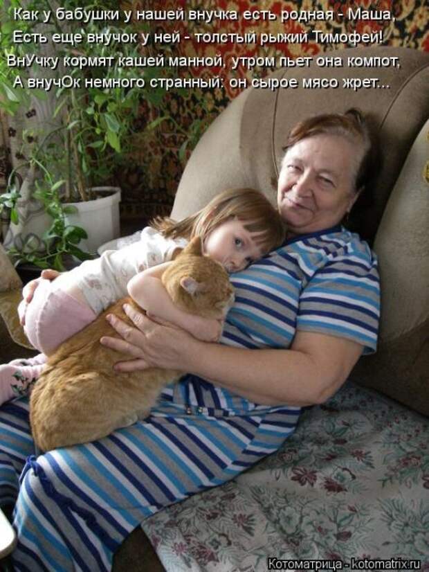Котоматрицы (картинки с надписями)