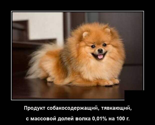 Демотиваторы 27 июля 2021 года