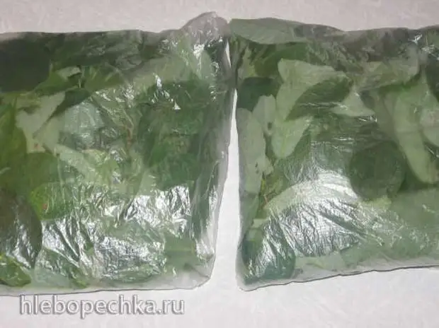 Ферментированный чай из листьев садовых и дикорастущих растений (мастер ...