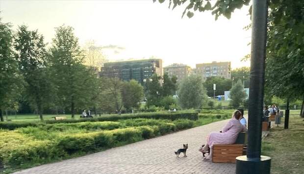 В парке «Ростокинский акведук» навели порядок после жалобы жителей