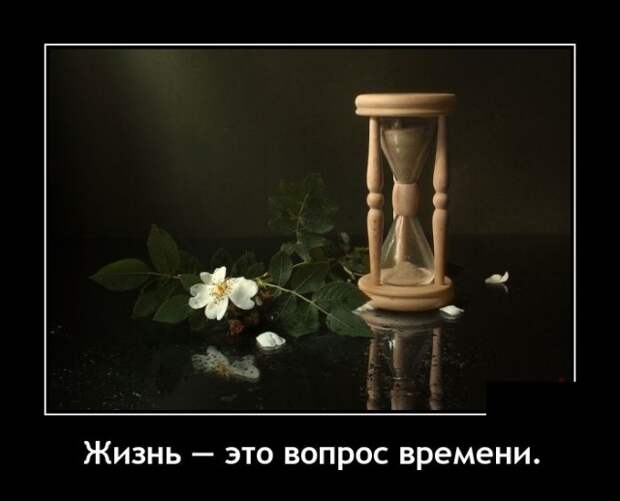 www.vsyako.net