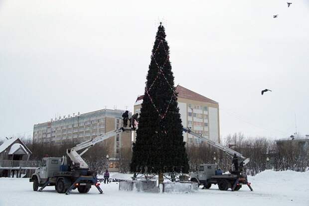 Воркутинская елка начала лысеть до праздника