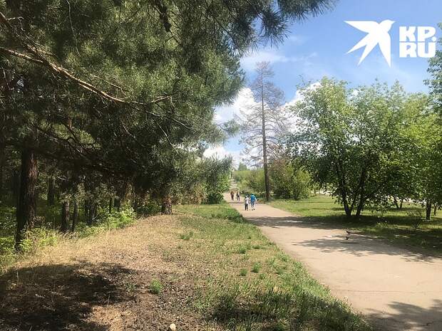 Город утопает в зелени Фото: Владимир ВОРСОБИН
