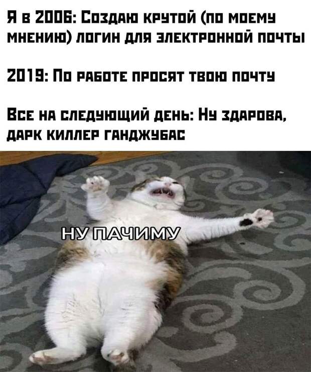 kartinok-interesnyh-prikolnyh-kartinki-smeshnye-kartinki-fotoprikoly