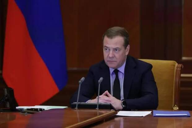 «Наносить максимальный вред»: Медведев назвал варианты реагирования россиян на