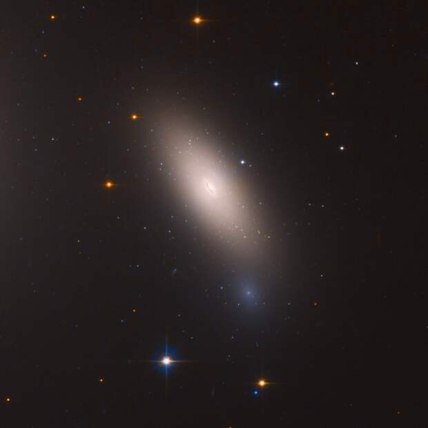 Снимок галактики <em>NGC 1277</em> телескопа <em>Hubble </em>/ <em>NASA/ESA/M. Beasley (Instituto de Astrofisica de Canarias)</em>