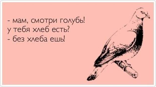 Аткрыточки заказывали???!