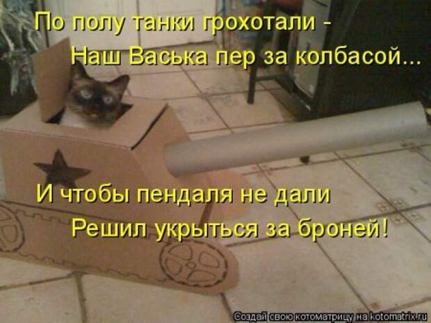 Котоматрица для ночных посетителей Поржать.ру