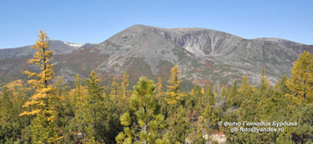 neruchanda