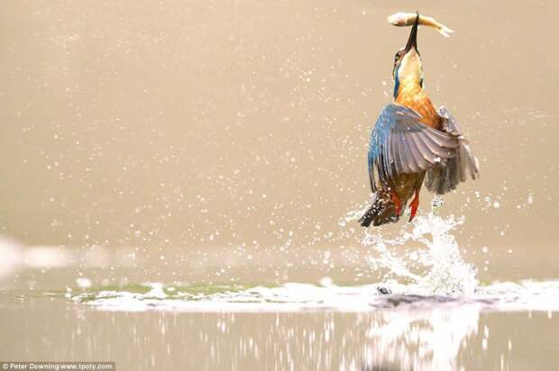 Победители конкурса Travel Photographer Of The Year 2013 trvlphtgrphr15 Победители конкурса Travel Photographer Of The Year 2013