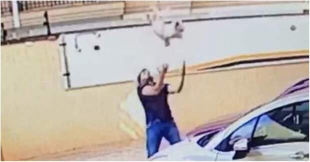 В Бразилии мужчина поймал упавшую с девятого этажа собаку бразилия, в мире, видео, животные, повезло, собака, спасение