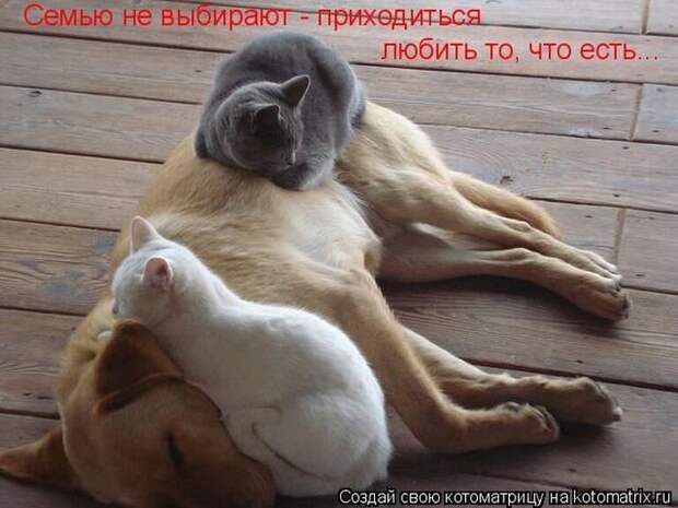 Мысли вслух :)