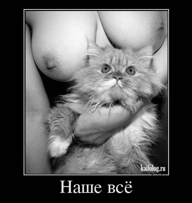 Демотиваторы - 248 (50 демотиваторов)