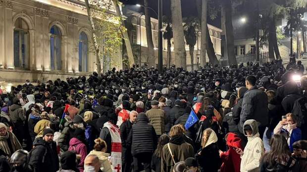 Митингующие в Тбилиси разбили стекла здания парламента