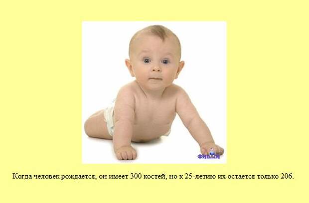 Знаете ли Вы?. Часть 15. (30 фото)