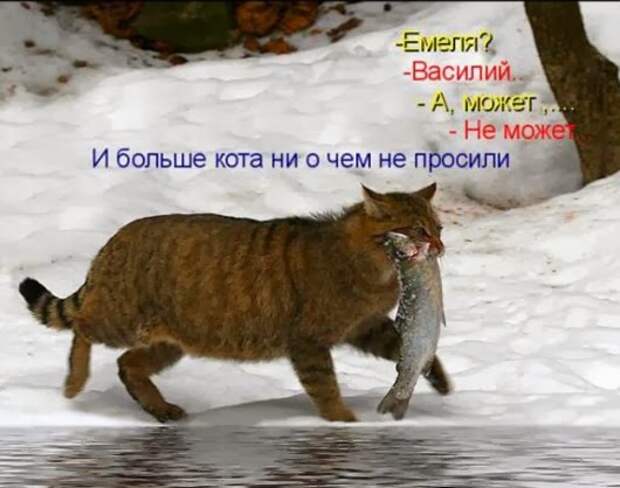185945ed08bb4ca4a60d84a4903_prev