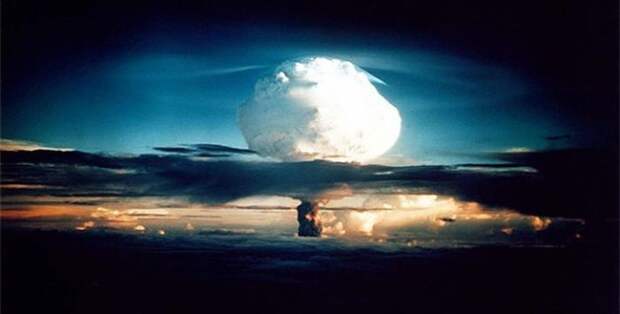 интересное, планета, жизнь, животные, люди, факты