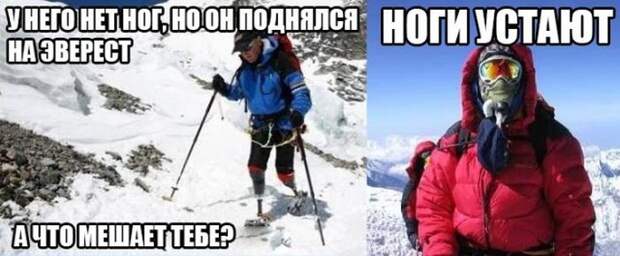 Прикольные картинки Прикольные картинки