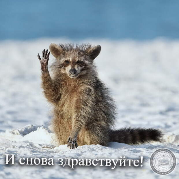 И снова здравствуйте