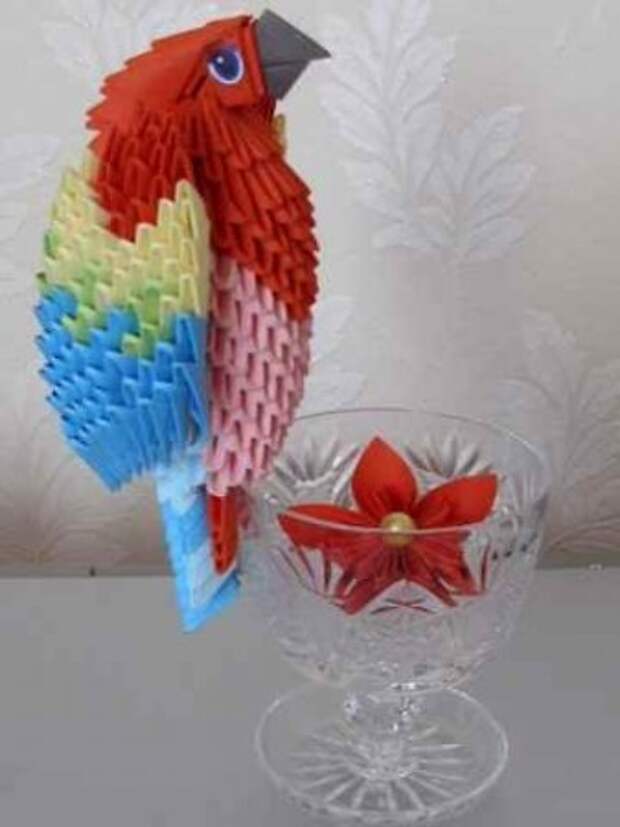 Попугай