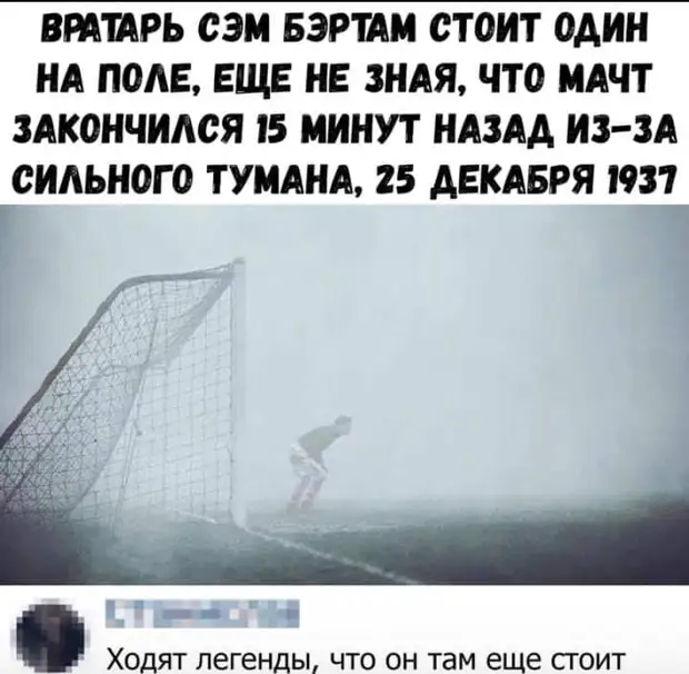 За обедом муж обращается к жене: - Дорогая! Отличные грибки! Откуда рецепт? - Из детектива... почему, Конечно, сынок, Дорогой, чайник, закрытый, натуре, братан, больших, только, очень, усталости, можем, нормальный, Красавецмужчина, сервера, хмурый, ремонт, холодный, вечер