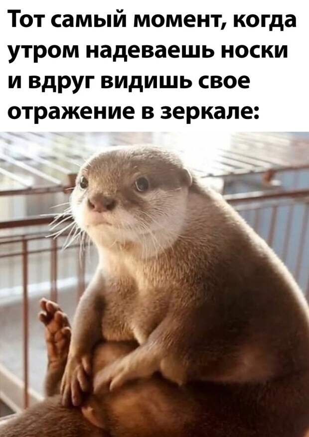 Смешные картинки 15 сентября 2021 года