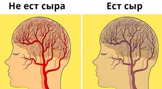 Продукты, которые могут повлиять на психику Продукты, которые могут повлиять на психику