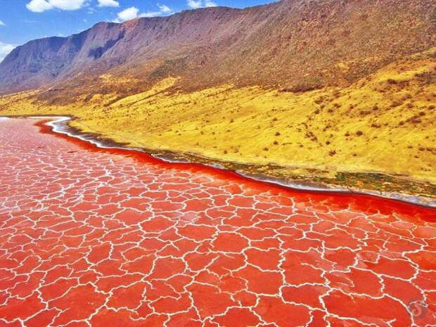 18. Tanzania : Lake Natron