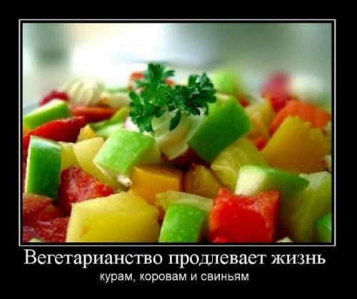Новая коллекция демотиваторов (31 шт)