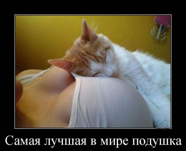 Новые демотиваторы-приколы (17 шт)