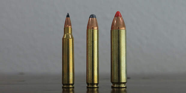 picture of 350 legend vs 223 vs 450 bushmaster