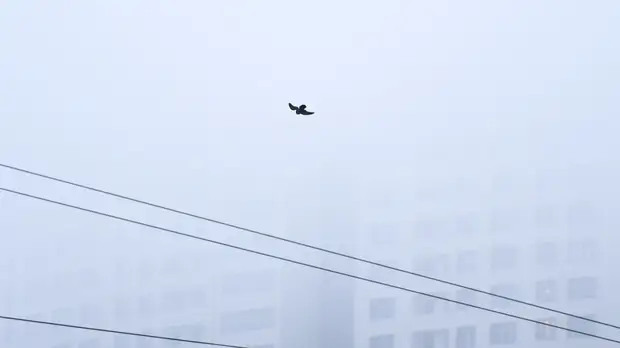 Синоптики предупредили о смоге в Свердловской области