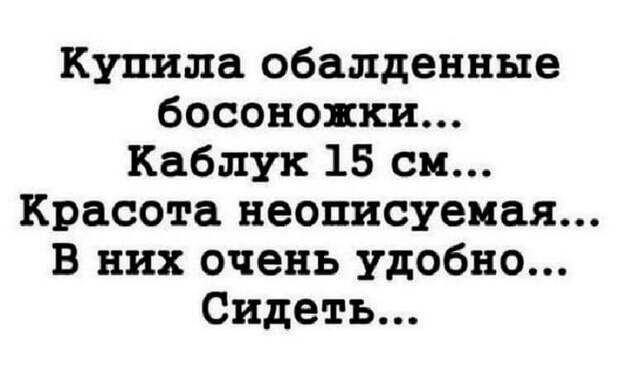 Несколько веселых историй