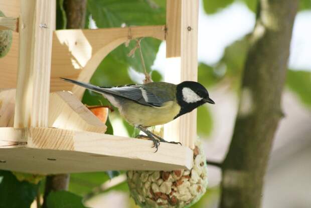 Никогда бы не подумал, что моя жена способна на такую тонкую и изощренную месть