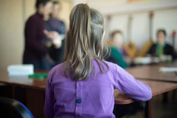 В России директора школы осудят из-за засунувших в рот девочке туалетный ершик подростков