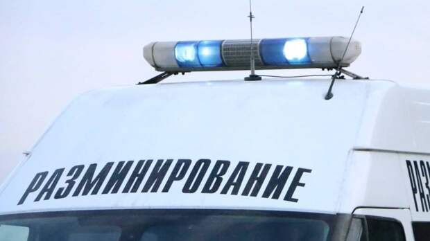 Власти Симферополя отменили занятия в школах из-за рассылки сообщений о «минировании»