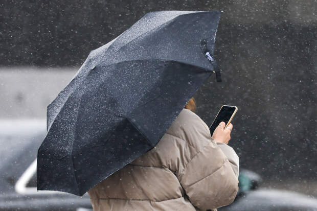 Снегопады начали подступать к Москве