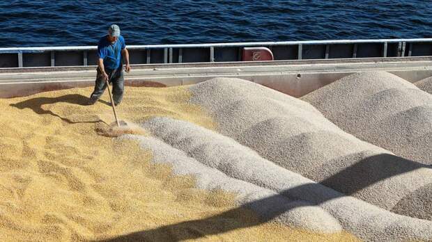 Турция до октября приостановит импорт пшеницы