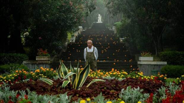 «Чебурашка» успешно вышел в прокат на Ближнем Востоке