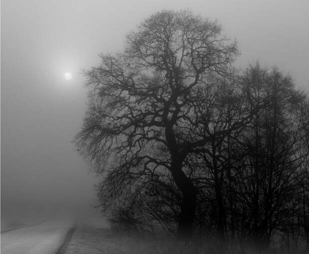 Призрачно все: завораживающие фото для тех, кто любит осень