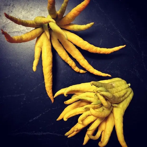 22 фрукта, которых многие никогда не пробовали