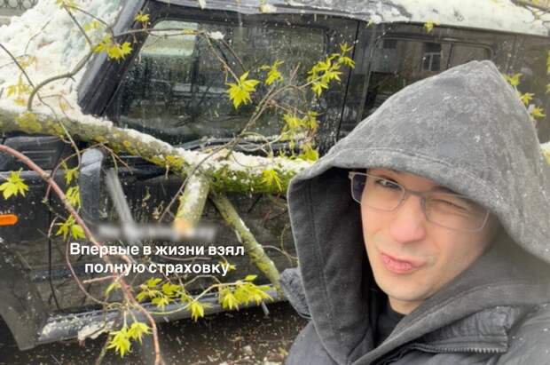 На новую машину Славы Марлоу упало дерево: фото