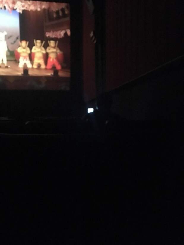 Went To See Isle Of Dogs Tonight. This Woman Brought Her ~2-Year-Old Son To This PG-13 Movie. When He Started To Cry, Instead Of Taking Him Out, She Put Peppa Pig On Her Phone On High Volume For Him To Watch, Which He Did For The Remaining Hour Of The Movie
