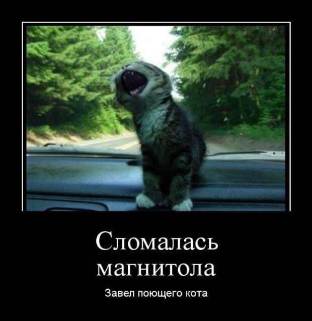 Прикольные демотиваторы (25 шт)