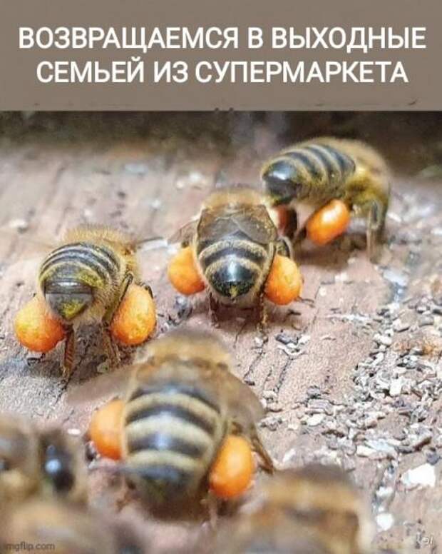 Свежие мемы четверга (15 шт)