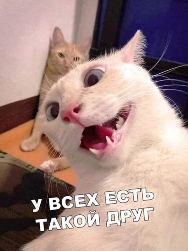 6-18.jpg
