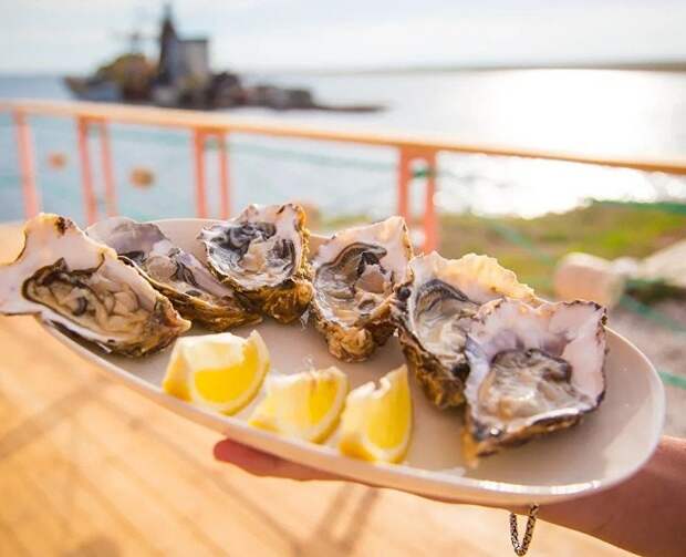 Устричная ферма на Донузлаве откроет новый сезон: чем удивят гостей