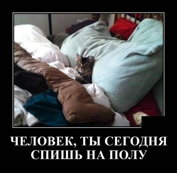 Демотиваторы (30 фото)